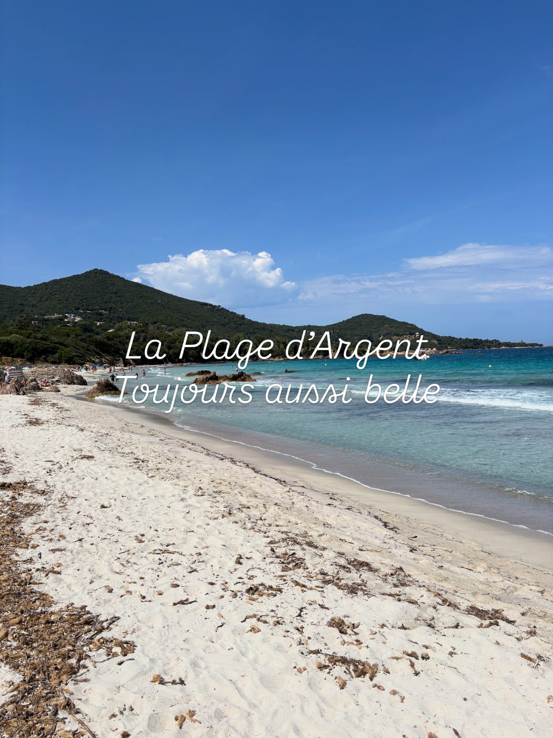 Amazing beach Corsica