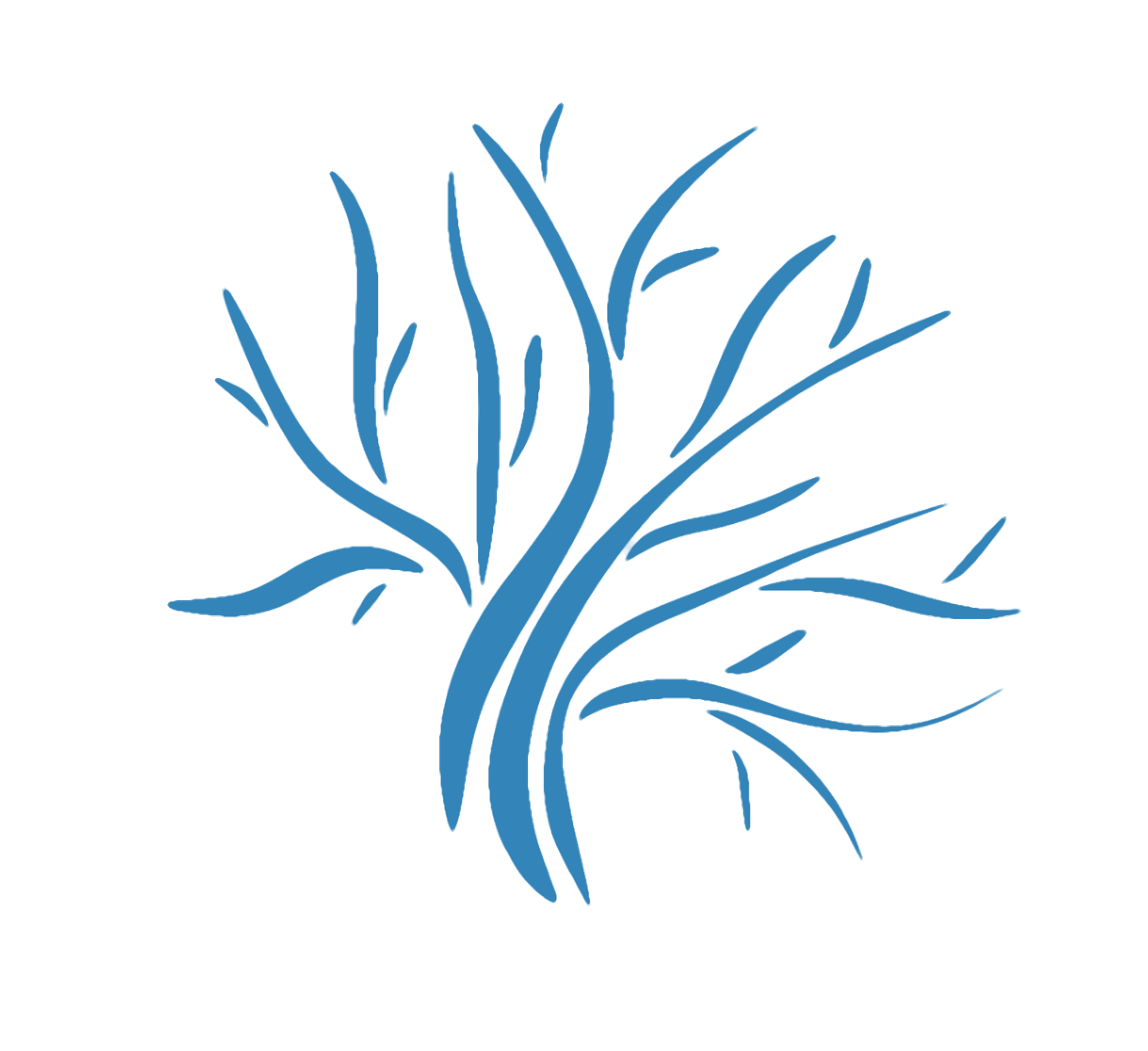 Favicon Les Terrasses de Ruppione